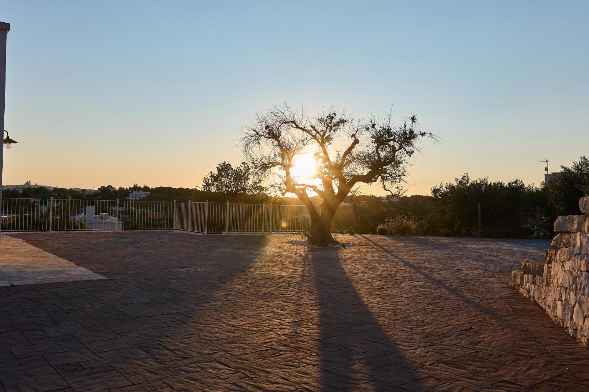 Апартаменты Trulli Mbs By Apulia Hospitality Локоротондо Экстерьер фото