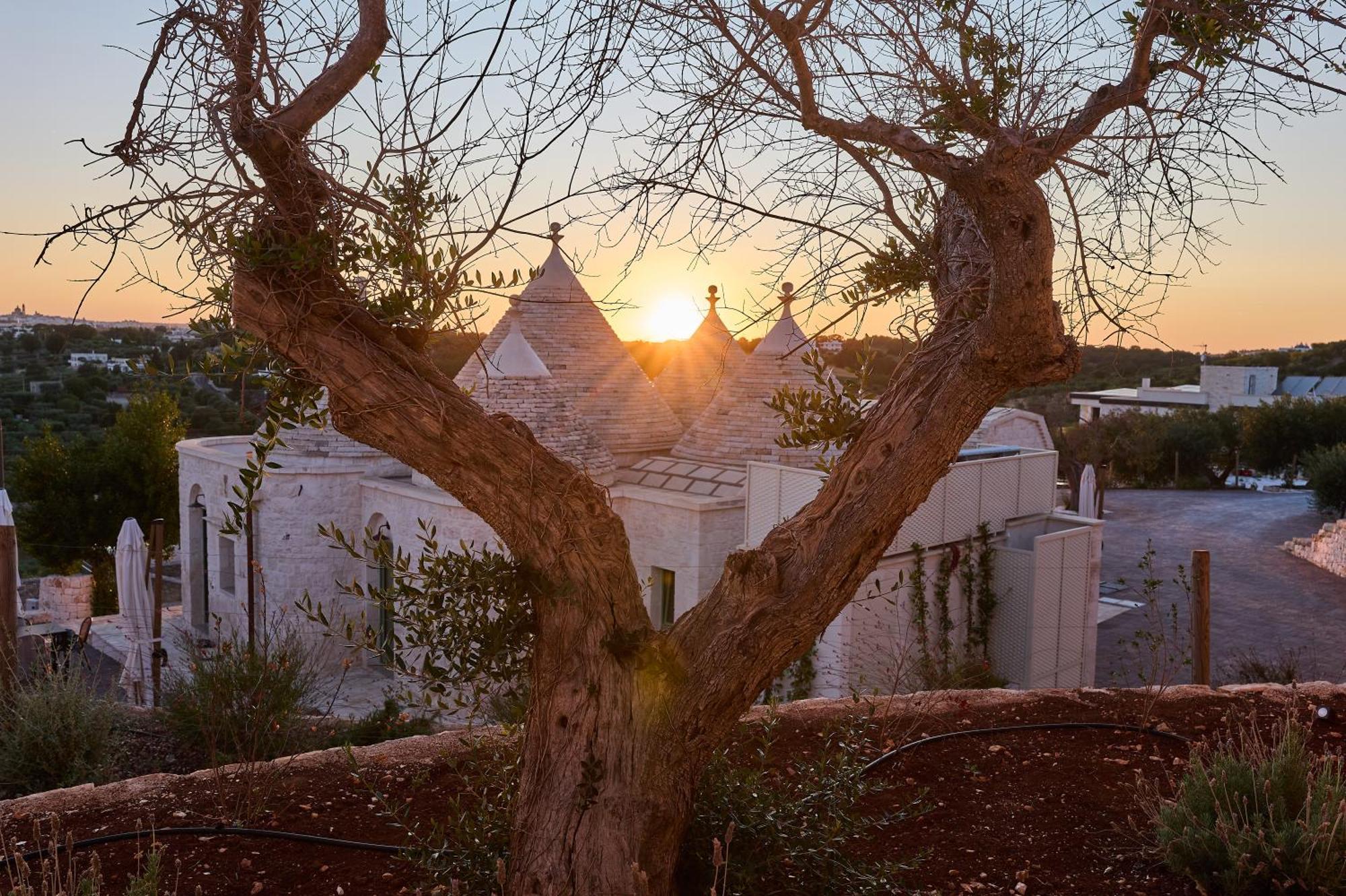 Апартаменты Trulli Mbs By Apulia Hospitality Локоротондо Экстерьер фото