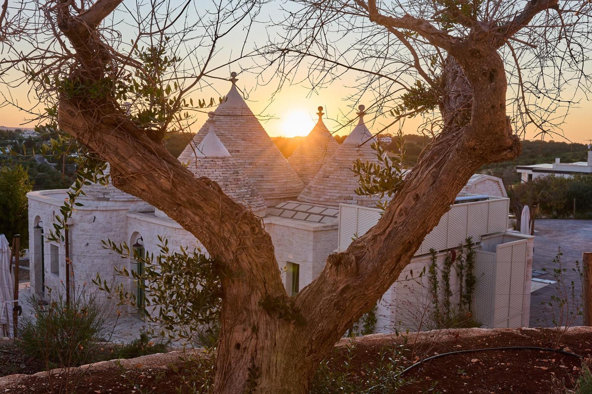 Апартаменты Trulli Mbs By Apulia Hospitality Локоротондо Экстерьер фото
